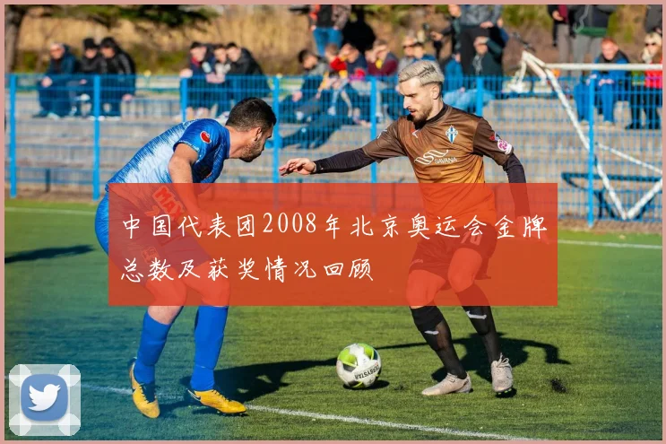 中国代表团2008年北京奥运会金牌总数及获奖情况回顾