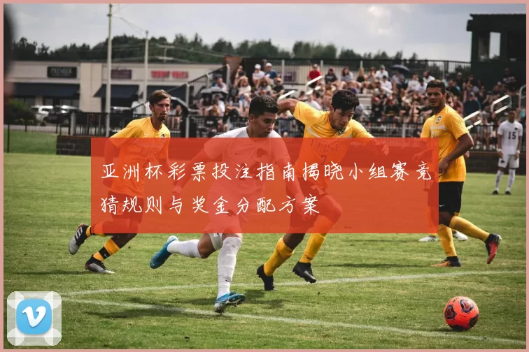 亚洲杯彩票投注指南揭晓小组赛竞猜规则与奖金分配方案