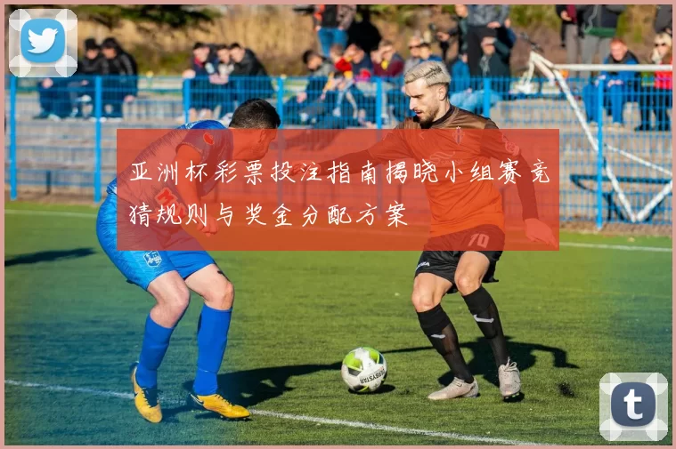 亚洲杯彩票投注指南揭晓小组赛竞猜规则与奖金分配方案