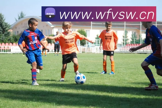 九游会·[j9]官方网站 | 游戏梦想的引导者APP 封面图